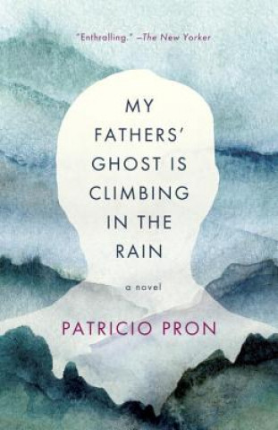Könyv My Fathers' Ghost Is Climbing in the Rain Patricio Pron