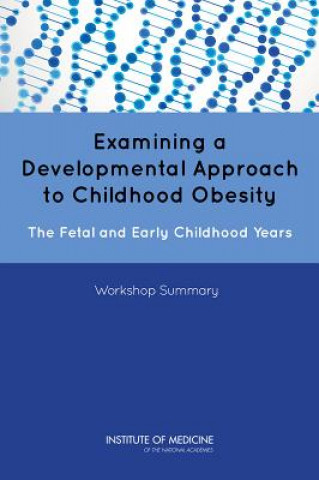 Książka Examining a Developmental Approach to Childhood Obesity: The Fetal and Early Childhood Years: Workshop Summary Food and Nutrition Board