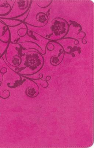 Kniha Women's Devotional Bible-NIV Zondervan Bibles