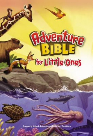Kniha Adventure Bible for Little Ones Catherine DeVries