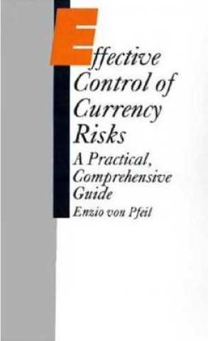 Kniha Effective Control of Currency Risks Enzio Von Pfeil