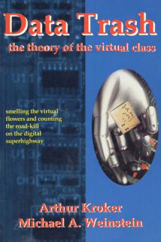 Kniha Data Trash: The Theory of Virtual Class Arthur Kroker