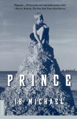 Buch Prince Ib Michael