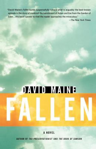 Book Fallen David Maine