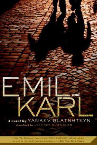 Livre Emil and Karl Yankev Glatshteyn