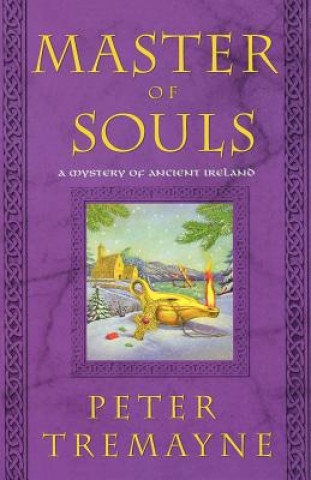 Buch Master of Souls: A Mystery of Ancient Ireland Peter Tremayne