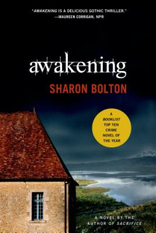 Kniha Awakening S. J. Bolton
