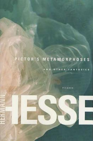 Kniha Pictor's Metamorphoses: And Other Fantasies Hermann Hesse