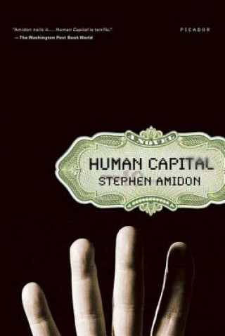 Kniha Human Capital Stephen Amidon