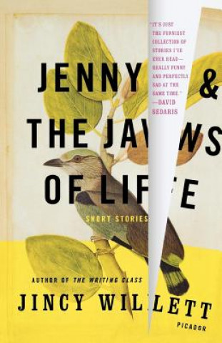 Carte Jenny and the Jaws of Life: Short Stories Jincy Willett