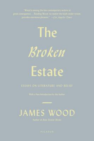 Kniha The Broken Estate: Essays on Literature and Belief James Wood