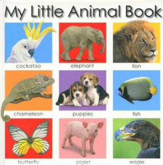 Carte MY LITTLE ANIMAL BOOK Jo Rigg