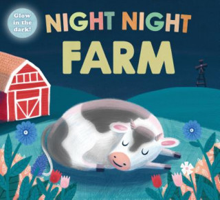 Könyv NIGHT NIGHT FARM Roger Priddy