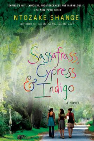 Könyv Sassafrass, Cypress & Indigo Ntozake Shange