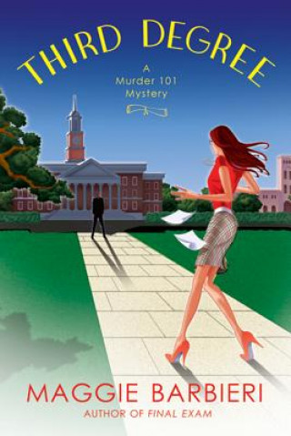Book Third Degree Maggie Barbieri