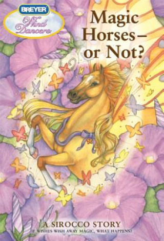 Könyv Magic Horses - Or Not? Sibley Miller