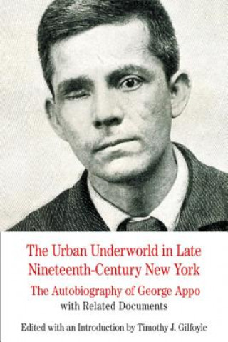 Kniha The Urban Underworld in Late Nineteenth-Century New York: The Autobiography of George Appo with Related Documents Timothy J. Gilfoyle