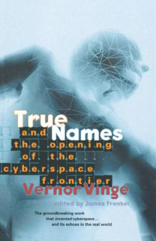 Książka TRUE NAMES AND THE OPENING OF THE CYBER Vernor Vinge