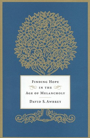 Kniha Finding Hope in the Age of Melancholy David S. Awbrey