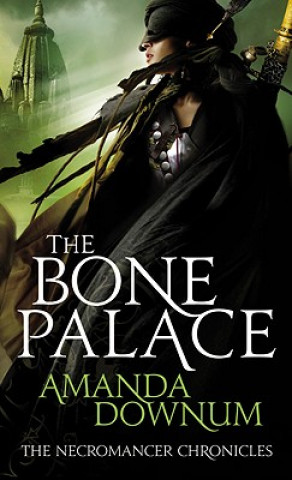 Kniha The Bone Palace Amanda Downum