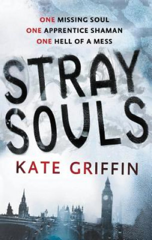 Buch Stray Souls Kate Griffin