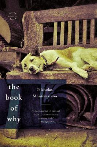 Kniha The Book of Why Nicholas Montemarano