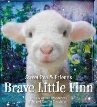 Carte Brave Little Finn Jennifer Churchman