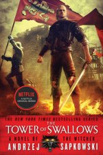 Könyv The Tower of Swallows Andrzej Sapkowski