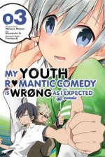 Könyv My Youth Romantic Comedy Is Wrong, As I Expected @ comic, Vol. 3 (manga) Wataru Watari