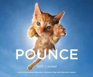 Buch Pounce Seth Casteel