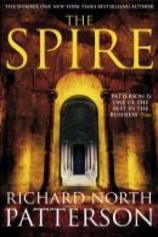 Book The Spire Richard North Patterson