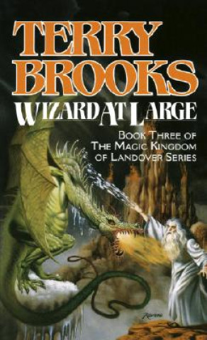 Kniha Wizard at Large Terry Brooks