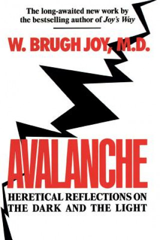 Kniha Avalanche: Heretical Reflections on the Dark and the Light W. Brugh Joy