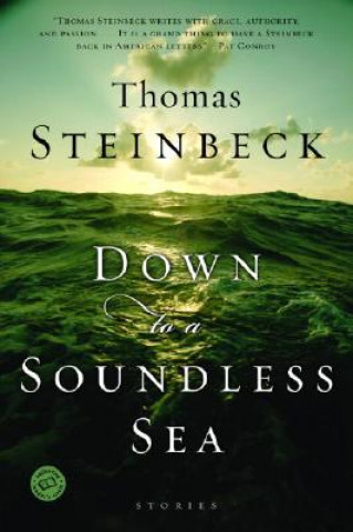 Carte Down to a Soundless Sea Thomas Steinbeck
