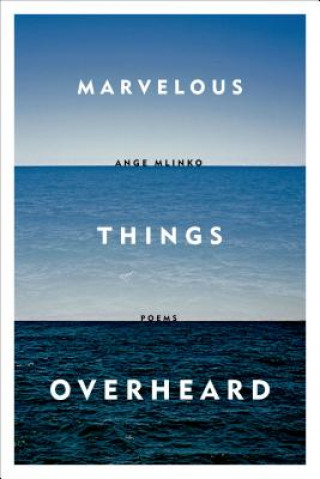 Carte Marvelous Things Overheard Ange Mlinko