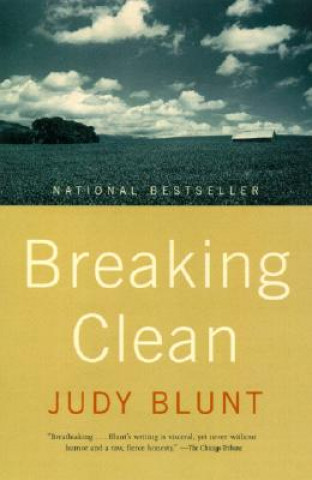 Buch Breaking Clean Judy Blunt