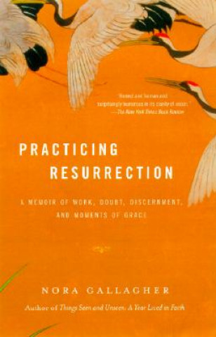 Kniha Practicing Resurrection: A Memoir of Work, Doubt, Discernment, and Moments of Grace Nora Gallagher