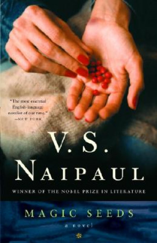 Kniha Magic Seeds V S Naipaul