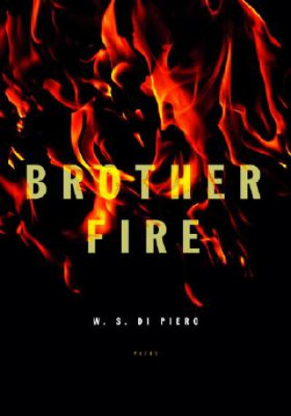 Kniha Brother Fire W. S. Di Piero