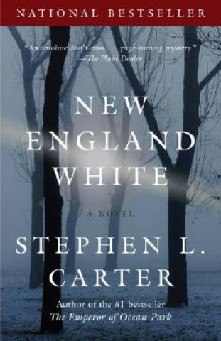 Kniha New England White Stephen L. Carter