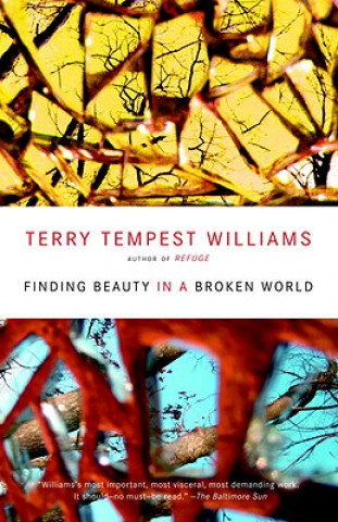 Kniha Finding Beauty in a Broken World Terry Tempest Williams