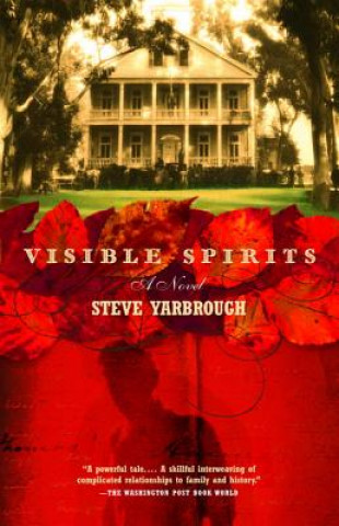 Kniha Visible Spirits Steve Yarbrough
