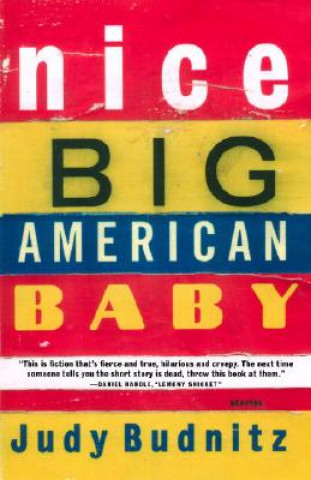Kniha Nice Big American Baby Judy Budnitz