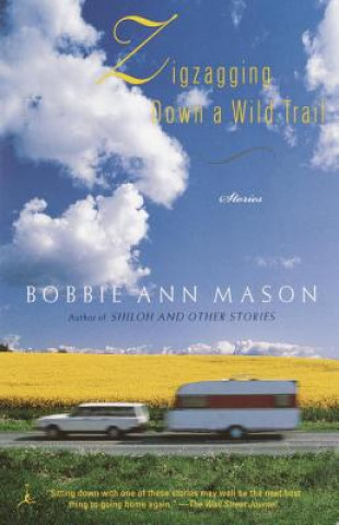 Buch Zigzagging Down A Wild Trail Bobbie Ann Mason