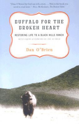 Książka Buffalo for the Broken Heart: Restoring Life to a Black Hills Ranch Dan O'Brien