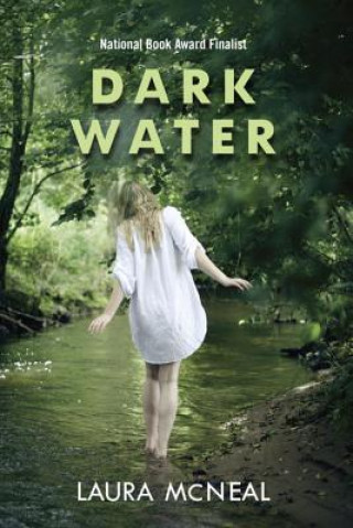 Kniha Dark Water Laura McNeal