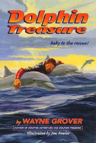 Book Dolphin Treasure Wayne Grover
