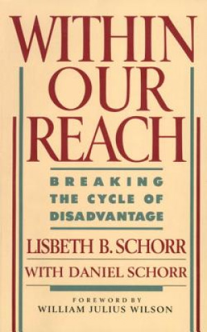 Book Within Our Reach Lisbeth B. Schorr