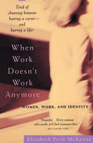 Kniha When Work Doesn't Work Anymore: Women, Work, and Identity Elizabeth Perle McKenna