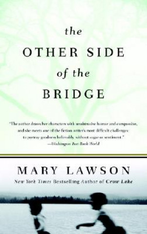 Carte The Other Side of the Bridge Mary Lawson